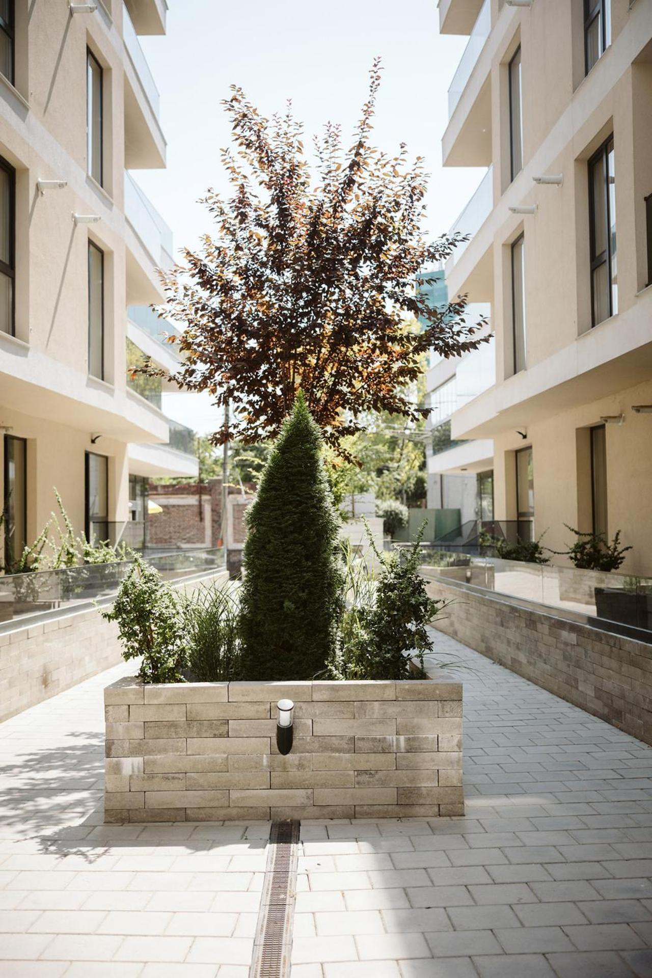 Dec Apartments Bukurešť Exteriér fotografie
