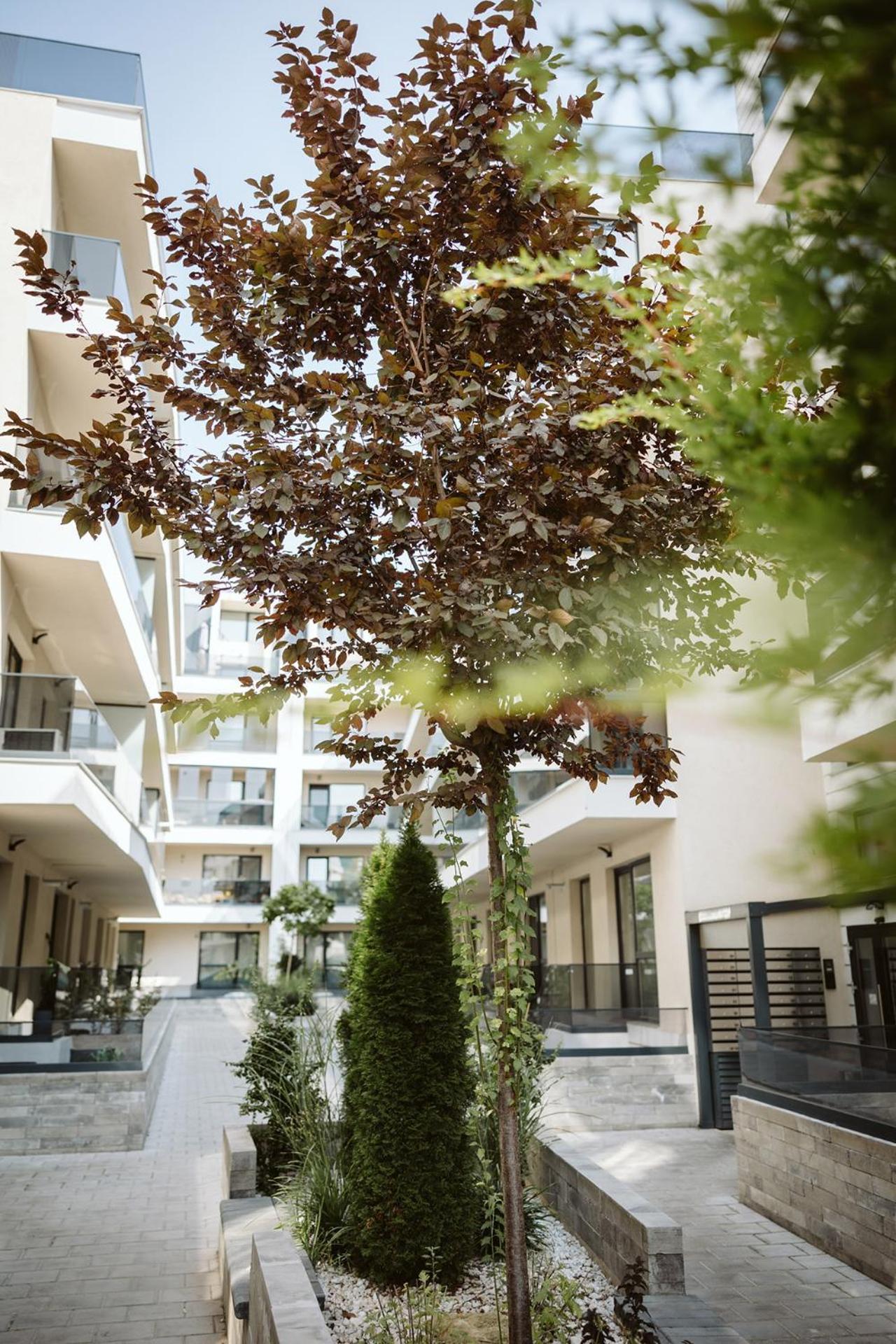 Dec Apartments Bukurešť Exteriér fotografie